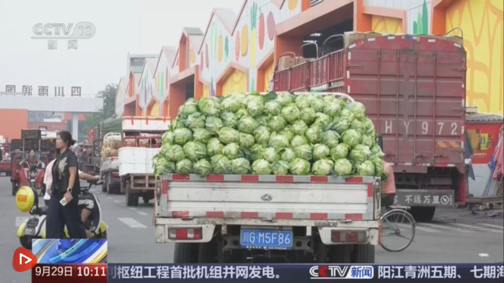 悟空識字app下載