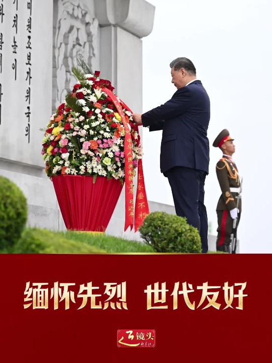 木兮短劇TV電視版下載